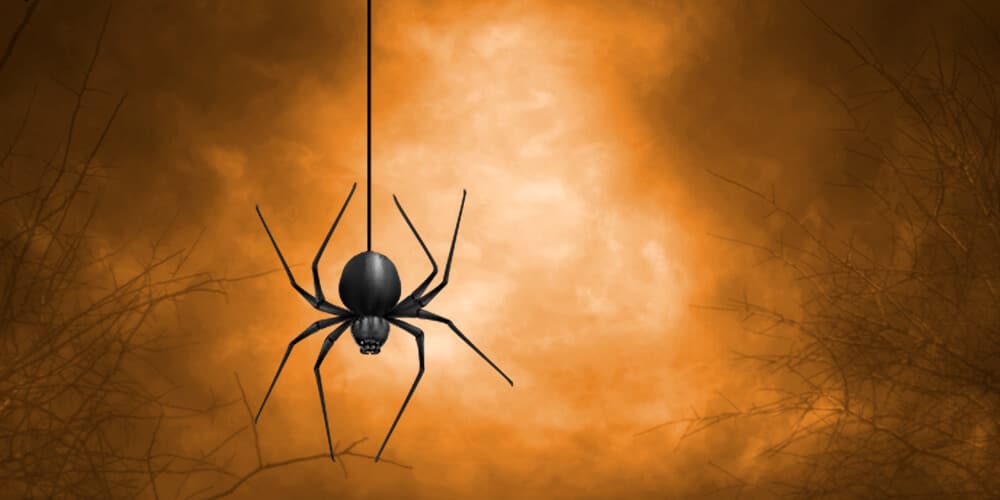 Halloween Spider Teaser_2022