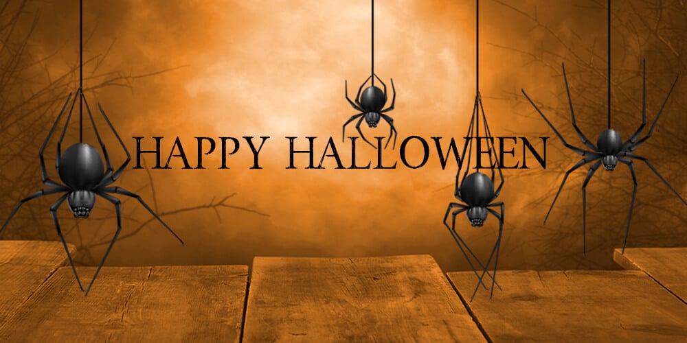 Halloween Spiders Reveal_2022