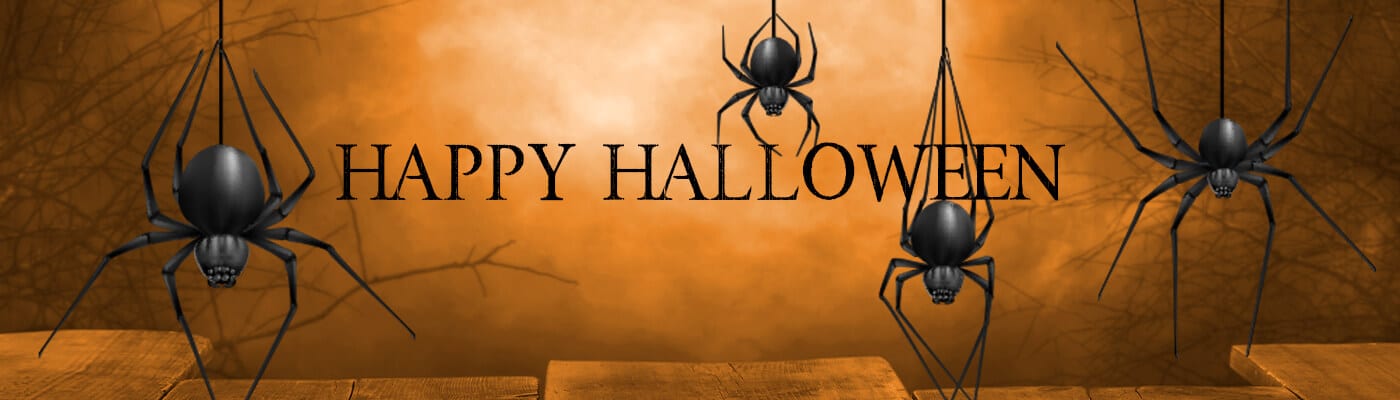 Halloween Spiders Reveal_2022