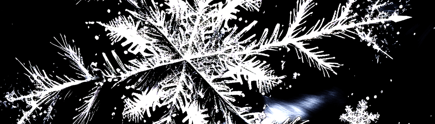 Black White Snowflake_2022_Wes Frick