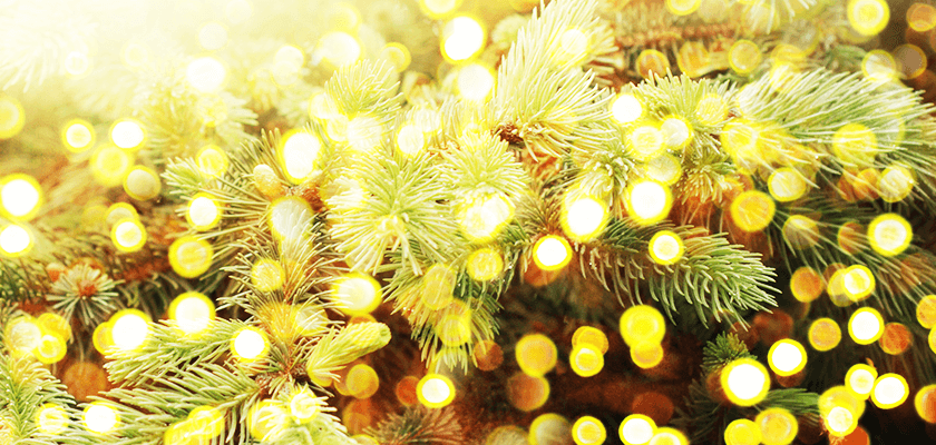 Golden Christmas Lights_2022_Wes Frick